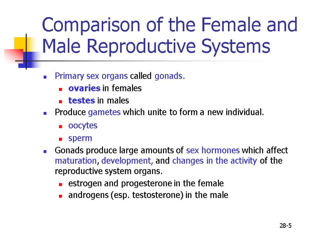 28-5 Comparison of the Female and Male Reproductive Systems Primary sex organs called gonads.